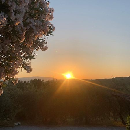 La Casina Del Poggio Διαμέρισμα Ponticino Εξωτερικό φωτογραφία